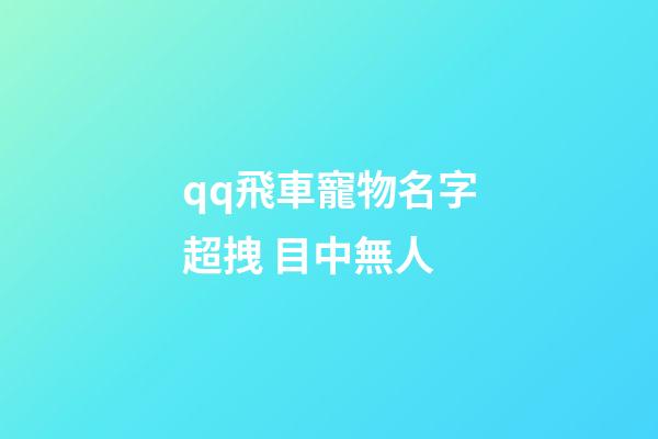 qq飛車寵物名字超拽 目中無人
